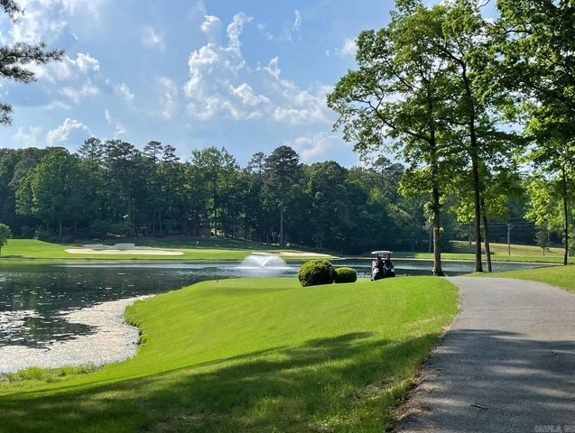 10 Magnifico Way, Hot Springs Village, AR 71909