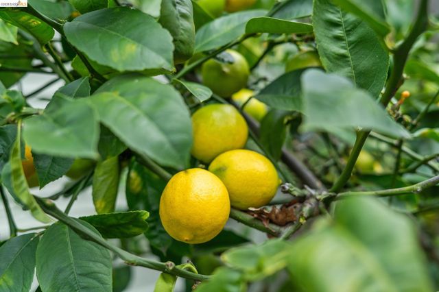 5360 LOCKSLEY Ave, Oakland, CA 94618