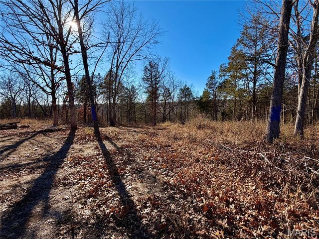 1036 Ridge Road, De Soto, MO 63020