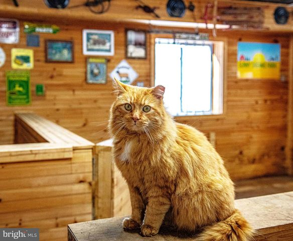 1221 PROSPECT MILL RD, Bel Air, MD 21015