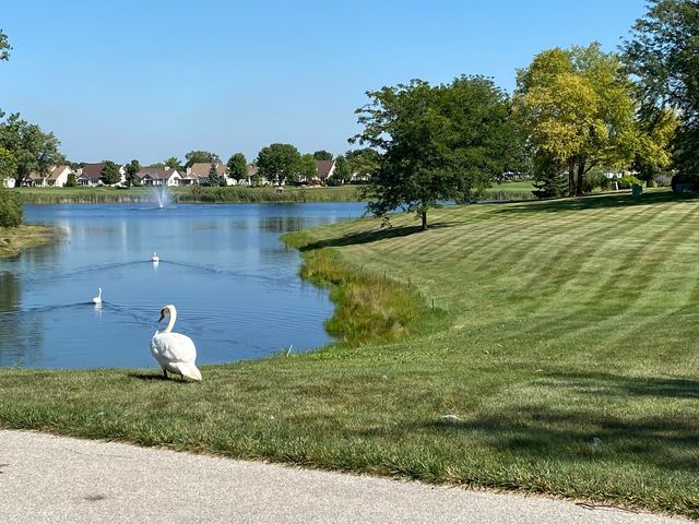 21365 Silktree Circle, Plainfield, IL 60544