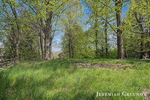 8725 Conservation Street, Ada, MI 49301