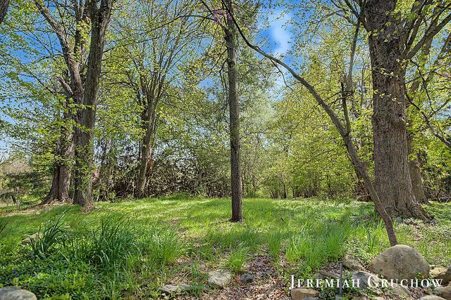 8725 Conservation Street, Ada, MI 49301
