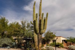 6322 N Calle De Adelita, Tucson, AZ 85718