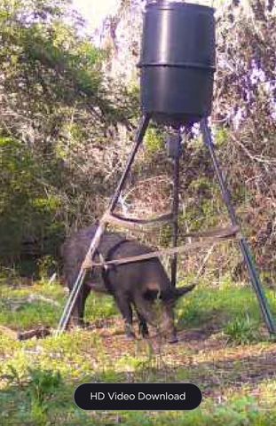 5604 County Road 364 10 Acres, Buffalo, TX 75831