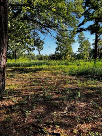 5604 County Road 364 10 Acres, Buffalo, TX 75831