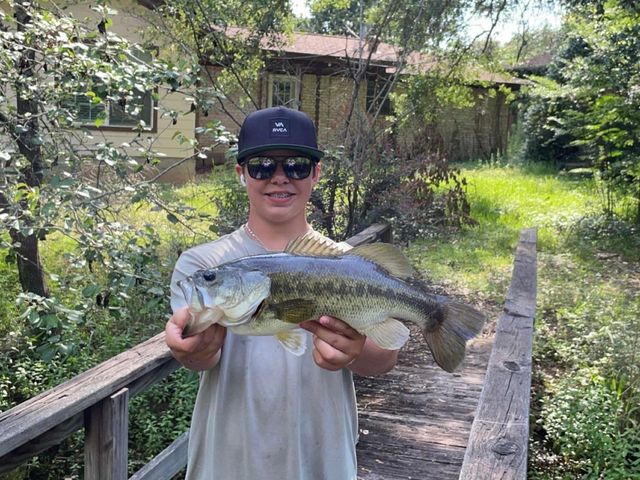 14 Veronica Lane, Huntsville, TX 77340