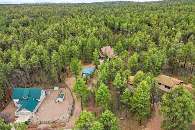 1041 E White Tail Drive, Show Low, AZ 85901