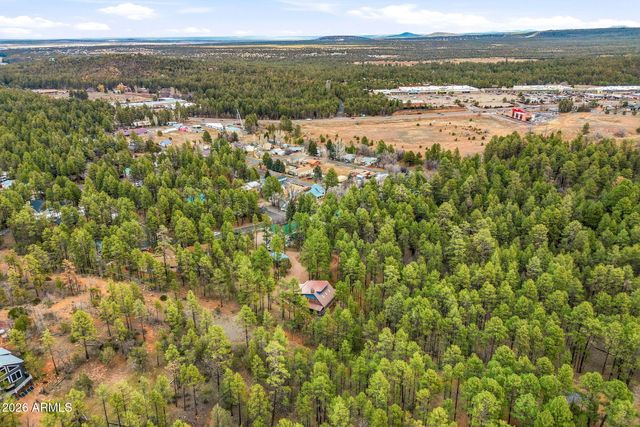 1041 E White Tail Drive, Show Low, AZ 85901