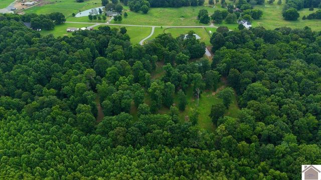 510 Nannie Neal Road, Hardin, KY 42048