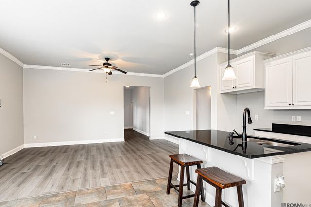 509 S Mandy Ave, Gonzales, LA 70737