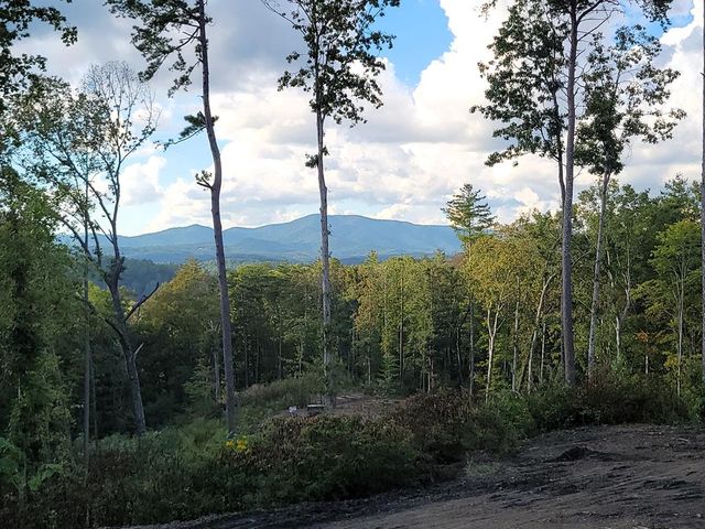 1705 Old Northcutt Road, Ellijay, GA 30540