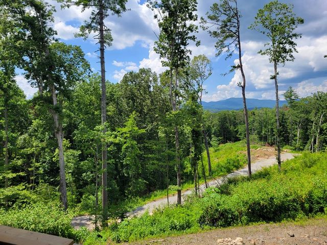 1705 Old Northcutt Road, Ellijay, GA 30540