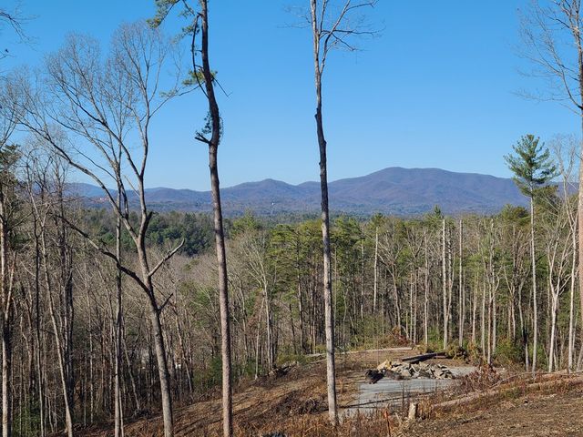 1705 Old Northcutt Road, Ellijay, GA 30540