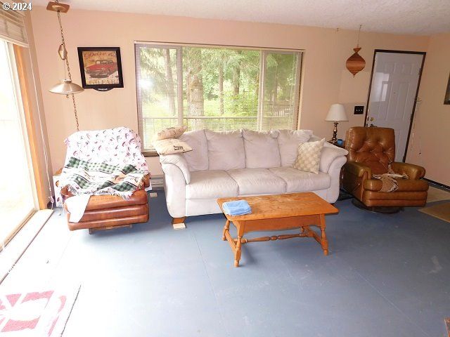 10071 BEACH Dr, Birkenfeld, OR 97016