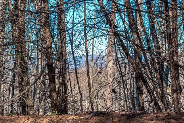 Lot 136 St Andrews Way, Ellijay, GA 30536