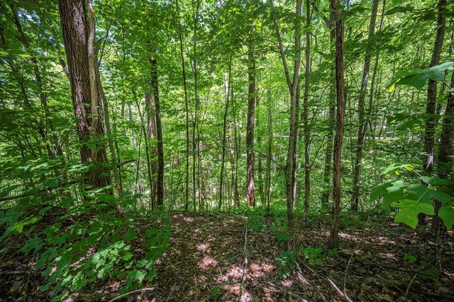 Lot 136 St Andrews Way, Ellijay, GA 30536