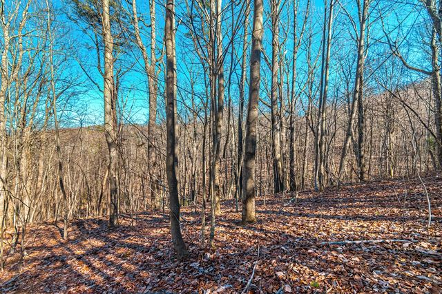 Lot 136 St Andrews Way, Ellijay, GA 30536