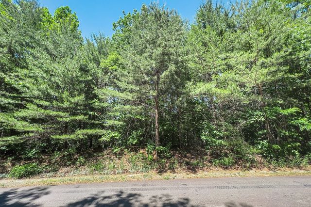 Lot 136 St Andrews Way, Ellijay, GA 30536