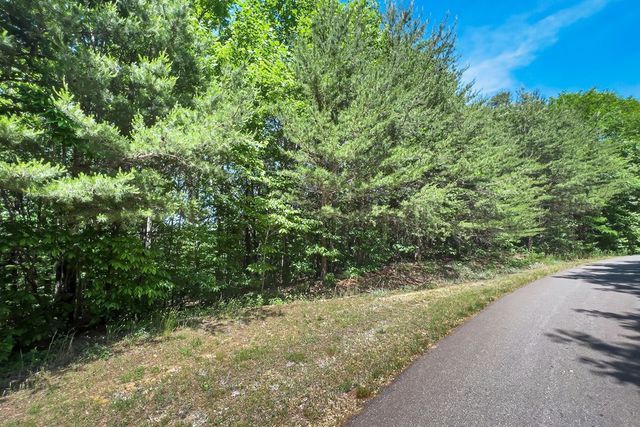 Lot 136 St Andrews Way, Ellijay, GA 30536