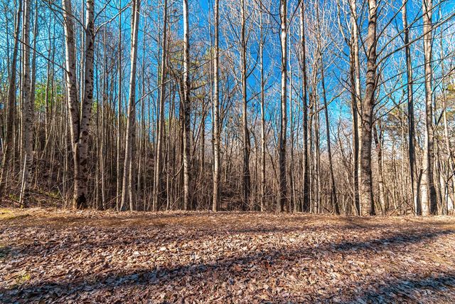 Lot 136 St Andrews Way, Ellijay, GA 30536