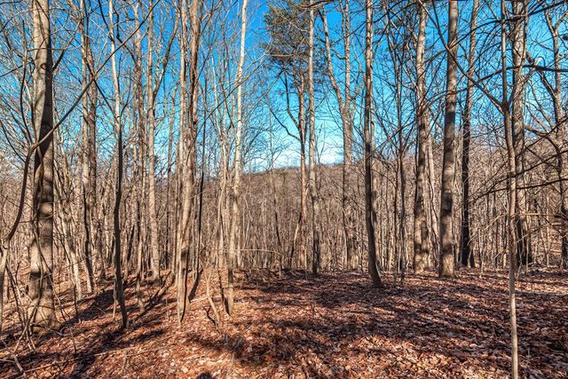 Lot 136 St Andrews Way, Ellijay, GA 30536
