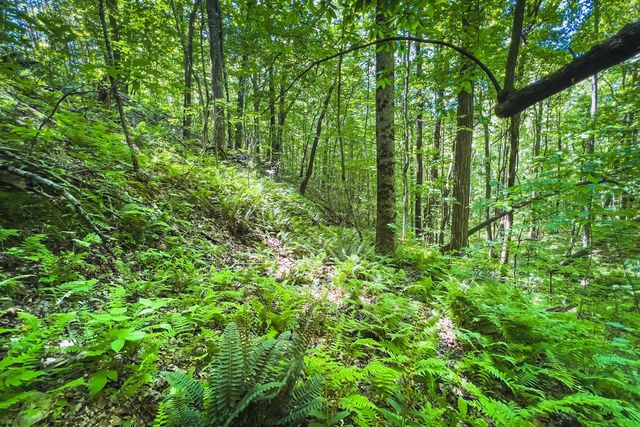 Lot 136 St Andrews Way, Ellijay, GA 30536