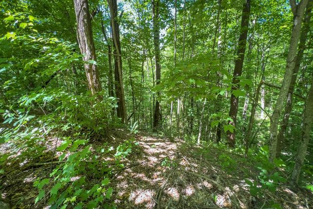 Lot 136 St Andrews Way, Ellijay, GA 30536