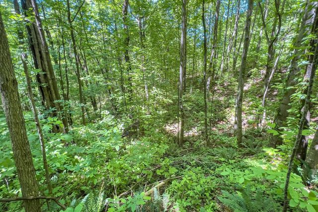 Lot 136 St Andrews Way, Ellijay, GA 30536