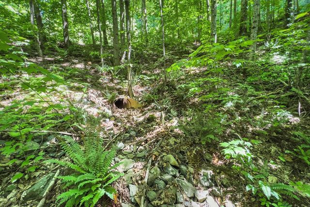 Lot 136 St Andrews Way, Ellijay, GA 30536
