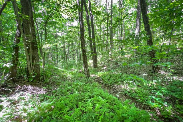 Lot 136 St Andrews Way, Ellijay, GA 30536
