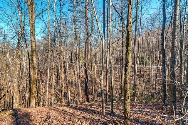 Lot 136 St Andrews Way, Ellijay, GA 30536