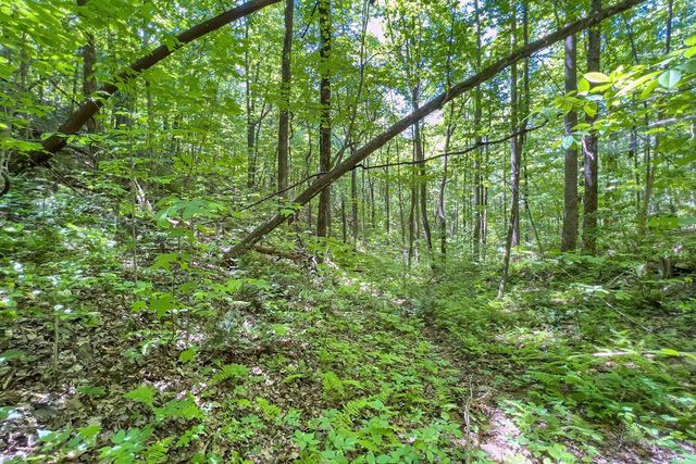 Lot 136 St Andrews Way, Ellijay, GA 30536