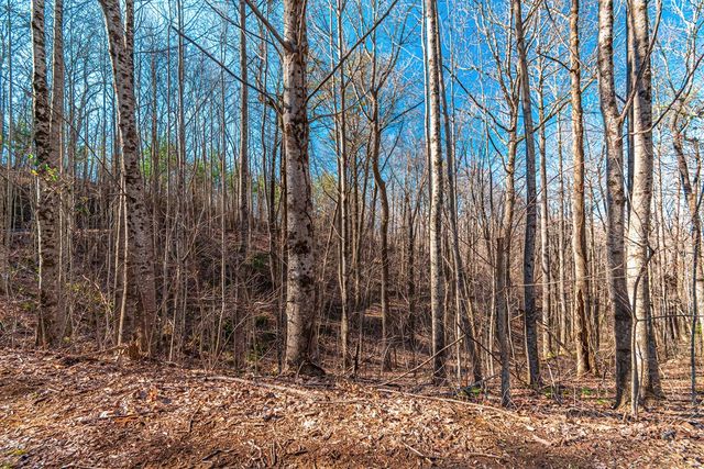 Lot 136 St Andrews Way, Ellijay, GA 30536