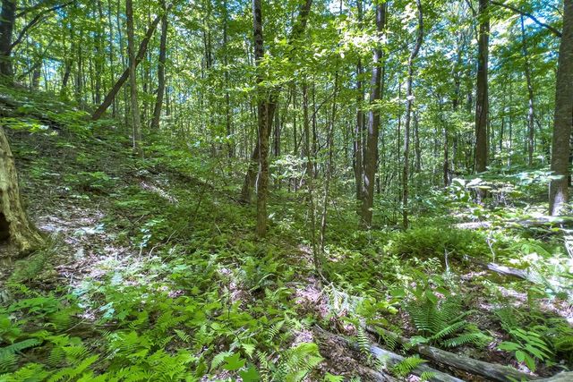 Lot 136 St Andrews Way, Ellijay, GA 30536