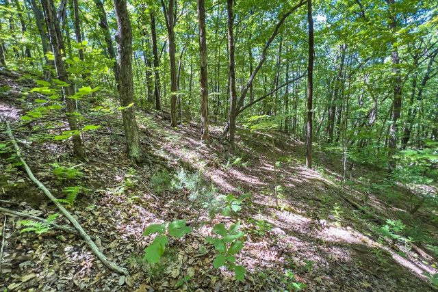 Lot 136 St Andrews Way, Ellijay, GA 30536