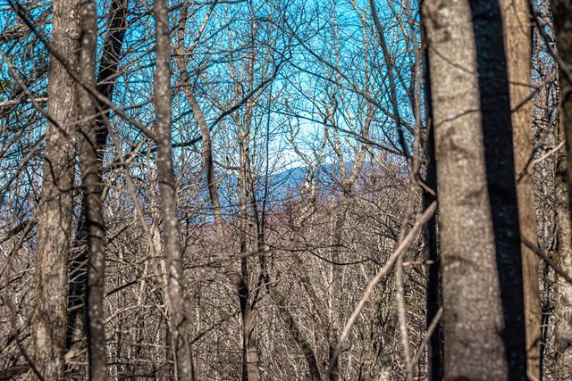 Lot 136 St Andrews Way, Ellijay, GA 30536