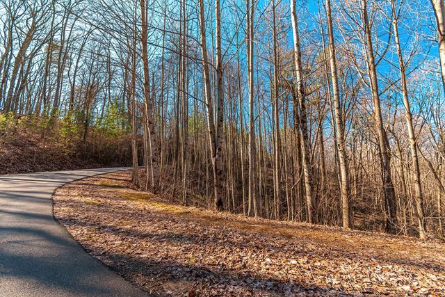 Lot 136 St Andrews Way, Ellijay, GA 30536