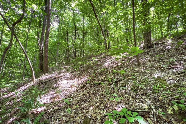 Lot 136 St Andrews Way, Ellijay, GA 30536