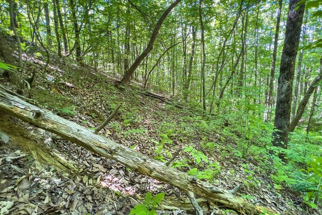 Lot 136 St Andrews Way, Ellijay, GA 30536