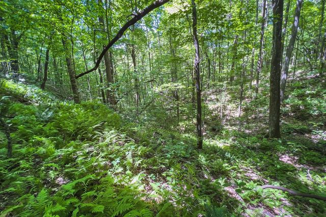 Lot 136 St Andrews Way, Ellijay, GA 30536
