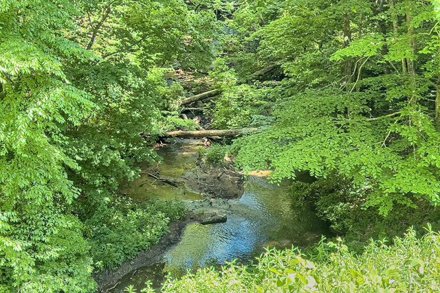 Lot 136 St Andrews Way, Ellijay, GA 30536