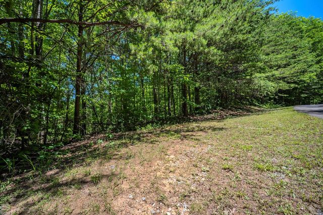 Lot 136 St Andrews Way, Ellijay, GA 30536
