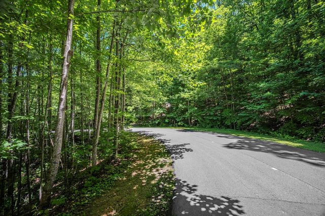 Lot 136 St Andrews Way, Ellijay, GA 30536