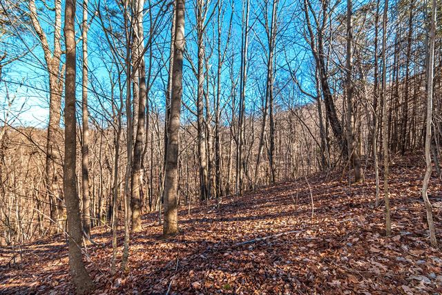 Lot 136 St Andrews Way, Ellijay, GA 30536