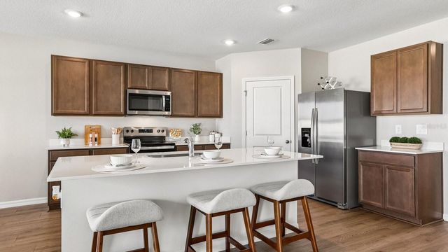 13224 BALSAM CONE DRIVE, Dade City, FL 33525