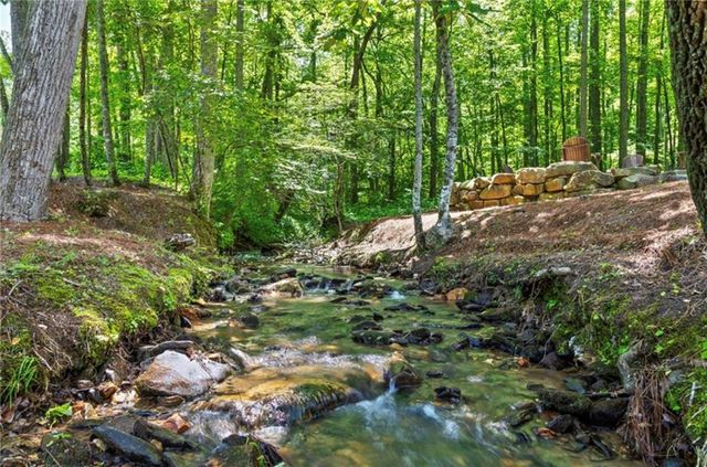 2468 Twisted Oak Road, Talking Rock, GA 30175