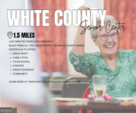 36 Village Court 15, Cleveland, GA 30528