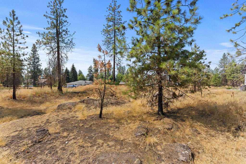 13xxx S Wesley St, Medical Lake, WA 99022 photo 6