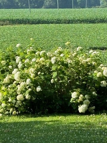 3214 State Route 8, Brookfield, NY 13313